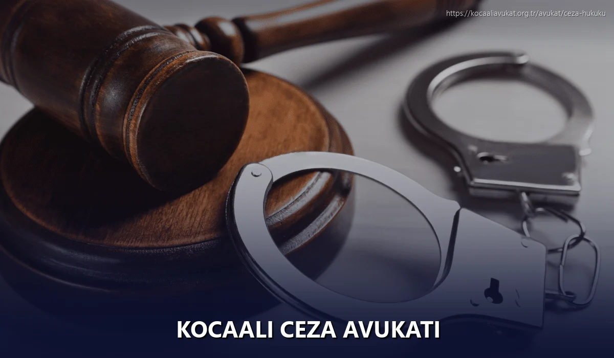 Kocaali Ceza Avukatı
