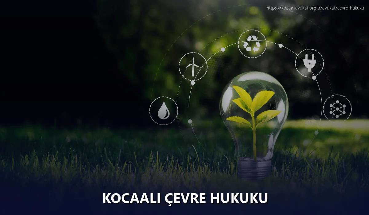 Kocaali Çevre Hukuku